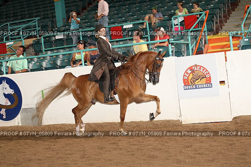 Proof 07YN_05809