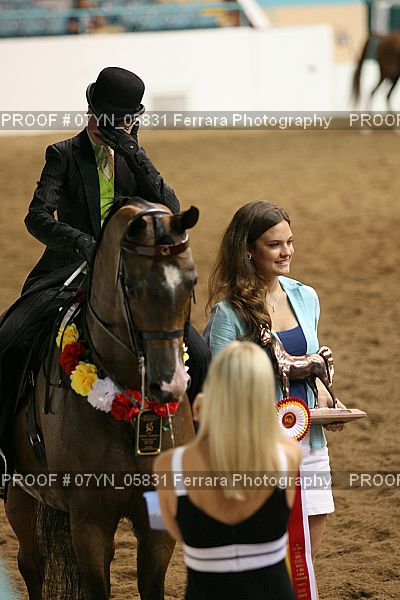 Proof 07YN_05831