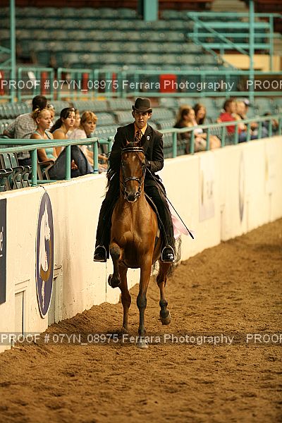 Proof 07YN_08975