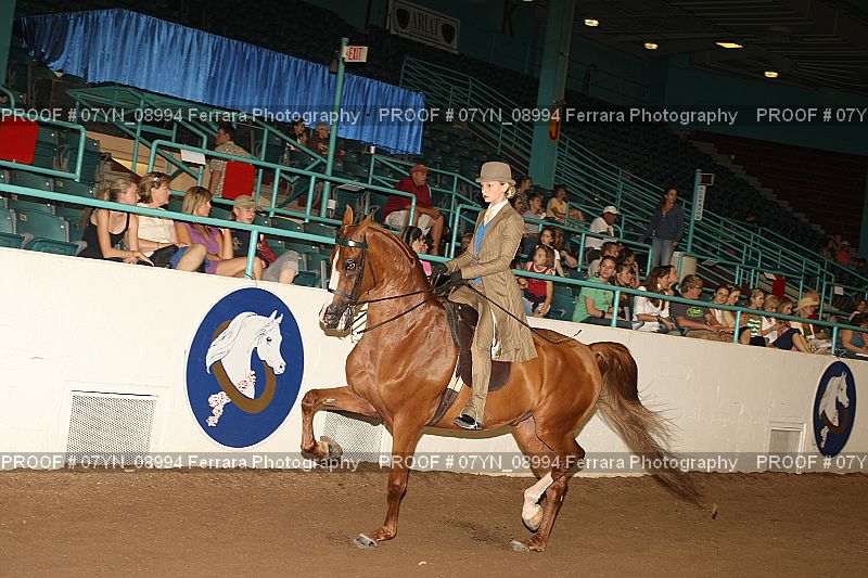 Proof 07YN_08994