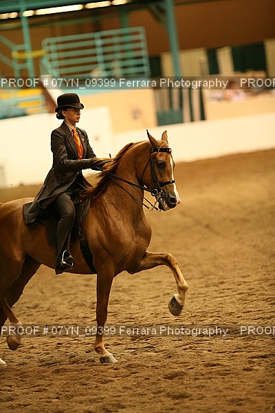 Proof 07YN_09399