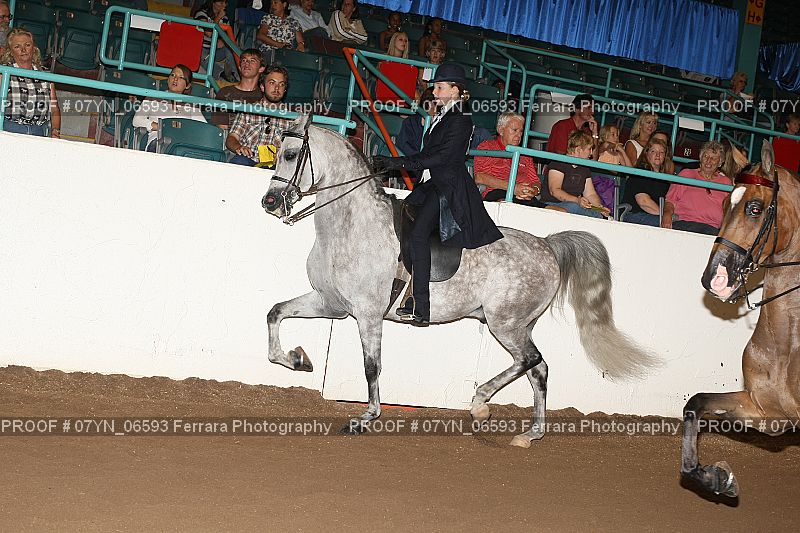 Proof 07YN_06593