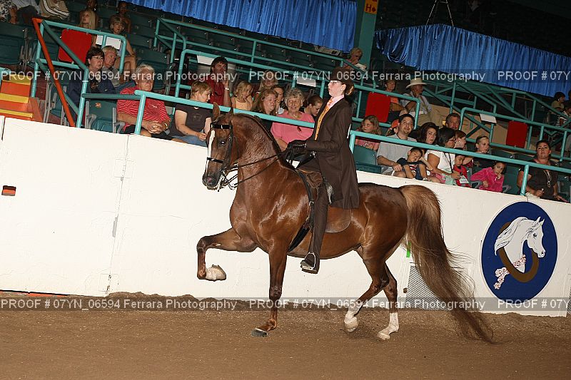 Proof 07YN_06594