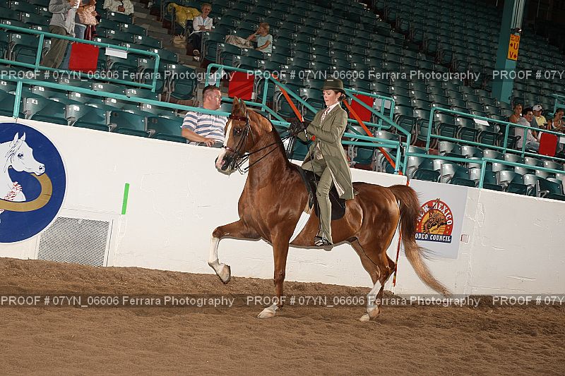 Proof 07YN_06606