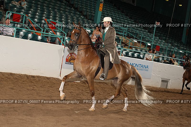 Proof 07YN_06607