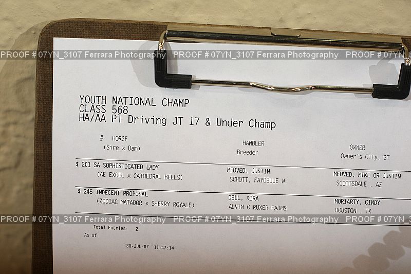 Proof 07YN_3107