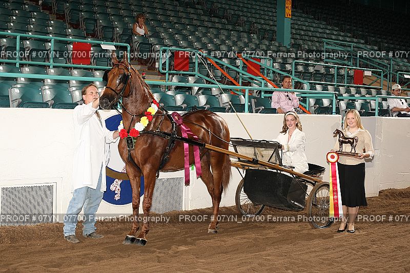 Proof 07YN_07700
