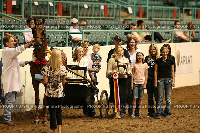 Proof 07YN_07702