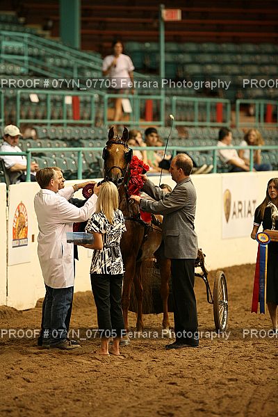 Proof 07YN_07705