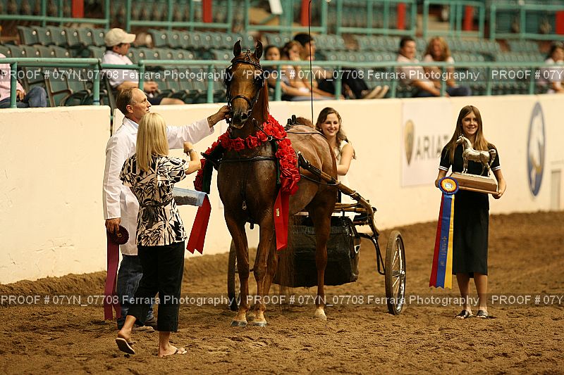 Proof 07YN_07708