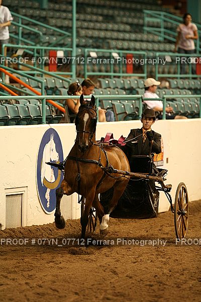 Proof 07YN_07712