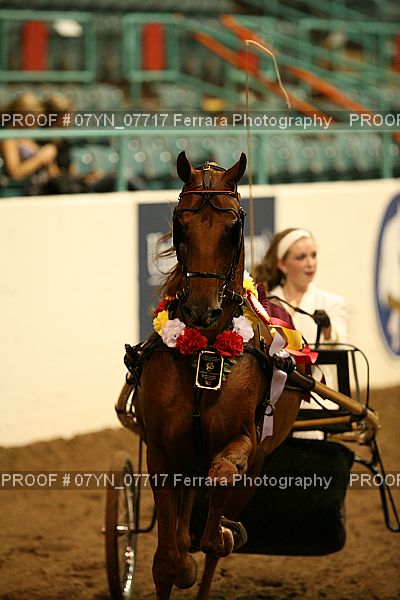 Proof 07YN_07717