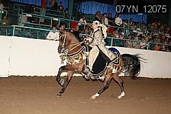 07YN_12075 proof
