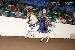 07YN_12077 proof