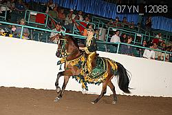 07YN_12088 proof