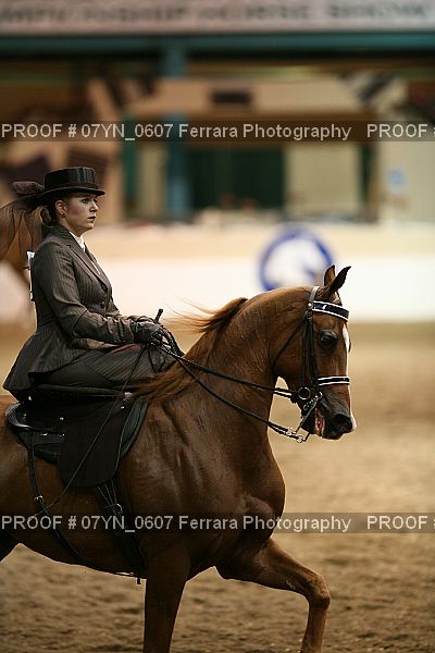 Proof 07YN_0607