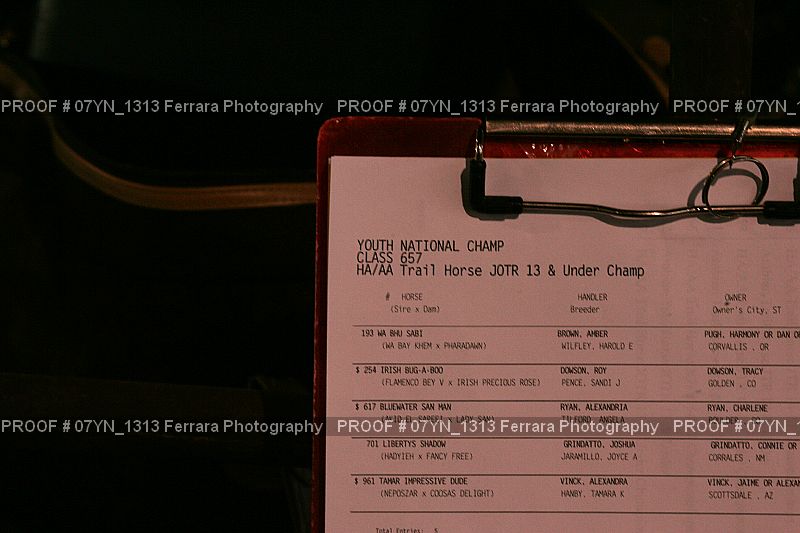 Proof 07YN_1313