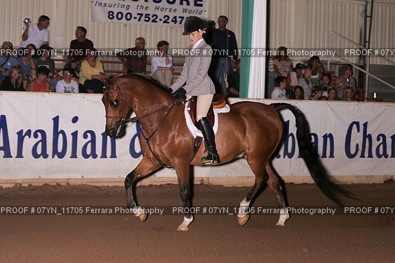 Proof 07YN_11705
