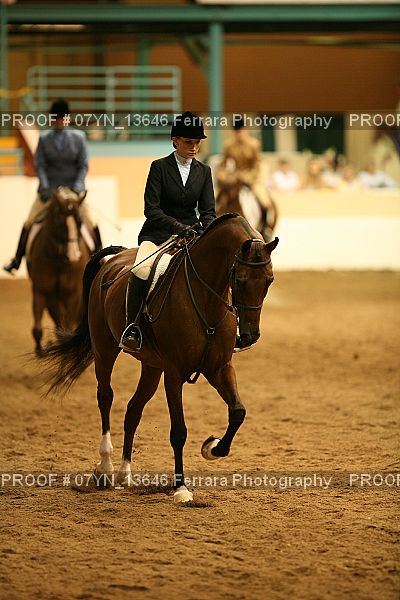 Proof 07YN_13646