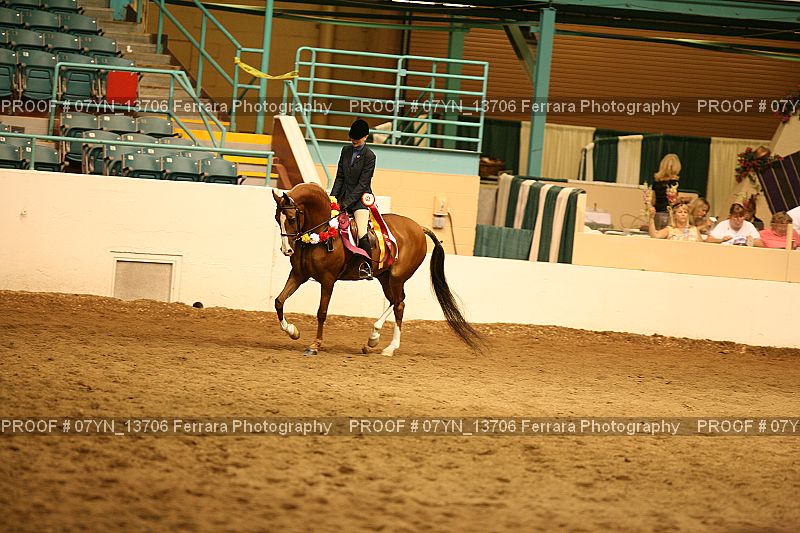 Proof 07YN_13706