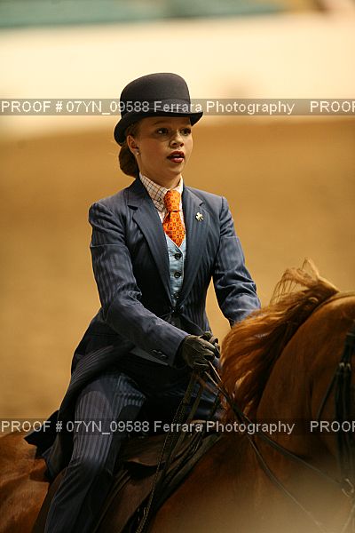 Proof 07YN_09588