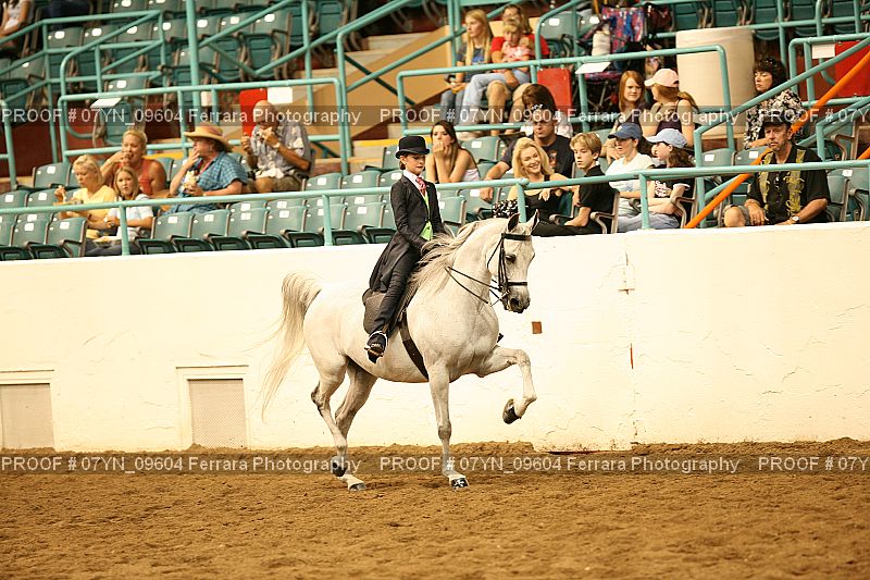 Proof 07YN_09604