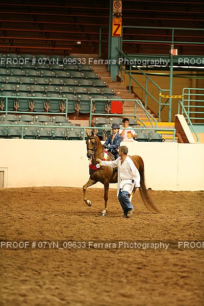 Proof 07YN_09633