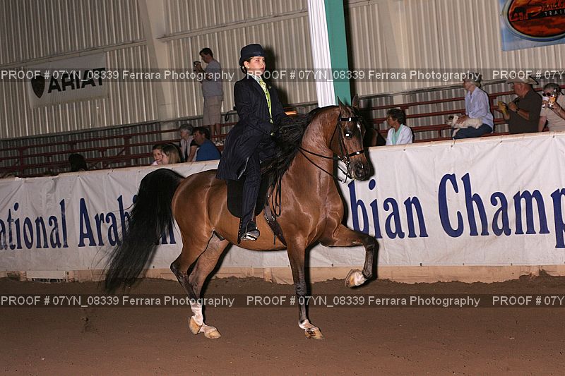 Proof 07YN_08339