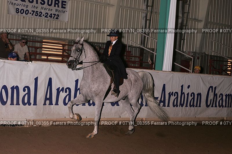 Proof 07YN_08355