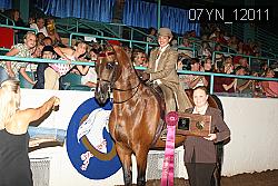 07YN_12011 proof