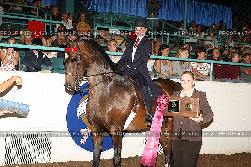 Proof 07YN_12013