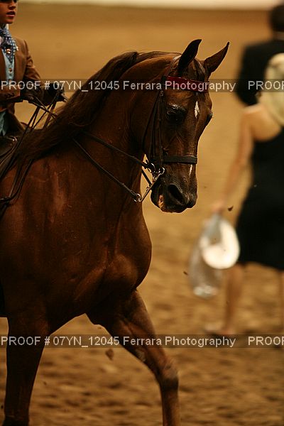 Proof 07YN_12045