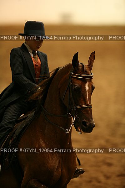 Proof 07YN_12054