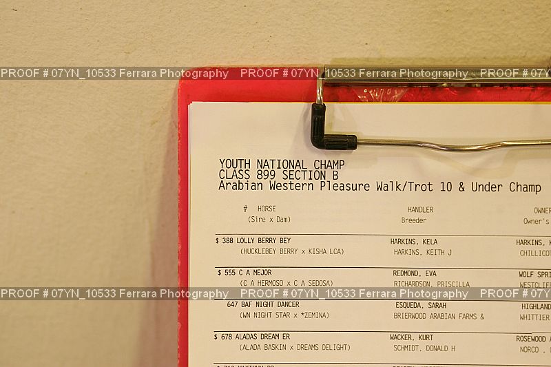 Proof 07YN_10533