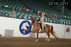07YN_0211 proof