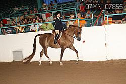 07YN_07855 proof
