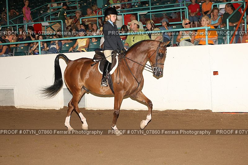 Proof 07YN_07860