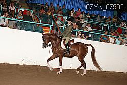 07YN_07902 proof