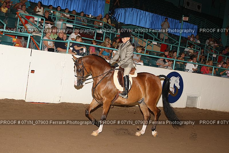 Proof 07YN_07903