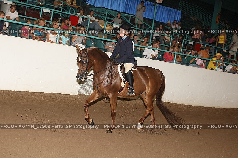 Proof 07YN_07908