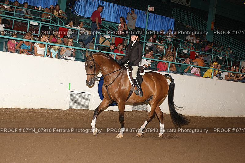 Proof 07YN_07910