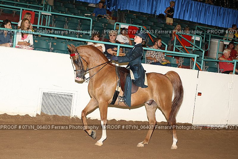 Proof 07YN_06403