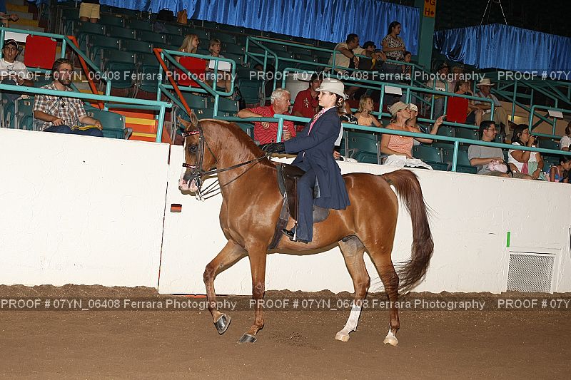 Proof 07YN_06408