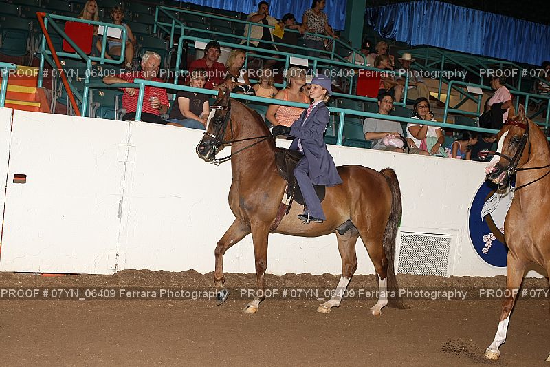 Proof 07YN_06409