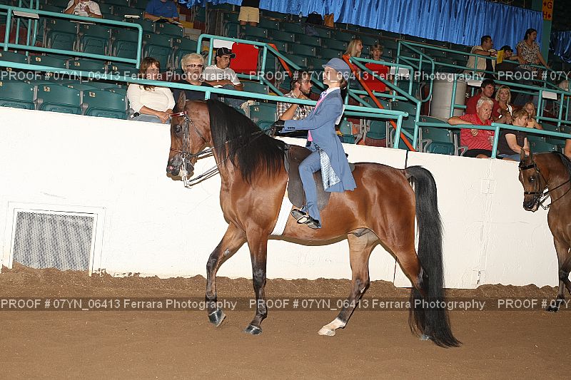 Proof 07YN_06413