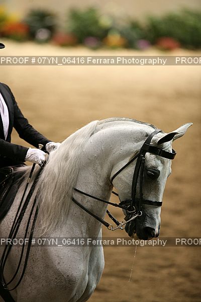 Proof 07YN_06416