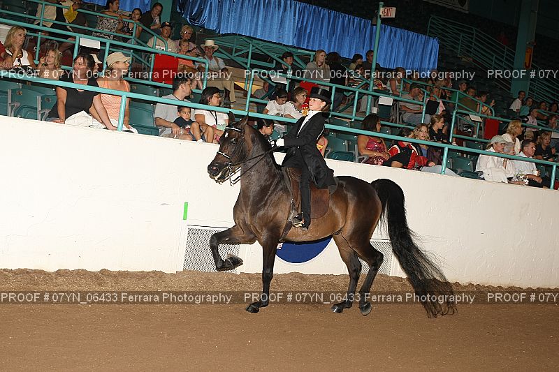 Proof 07YN_06433