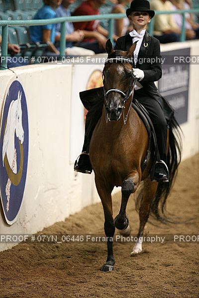 Proof 07YN_06446