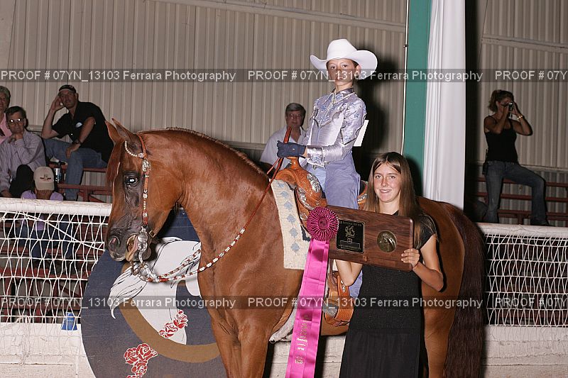Proof 07YN_13103