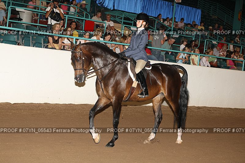 Proof 07YN_05543